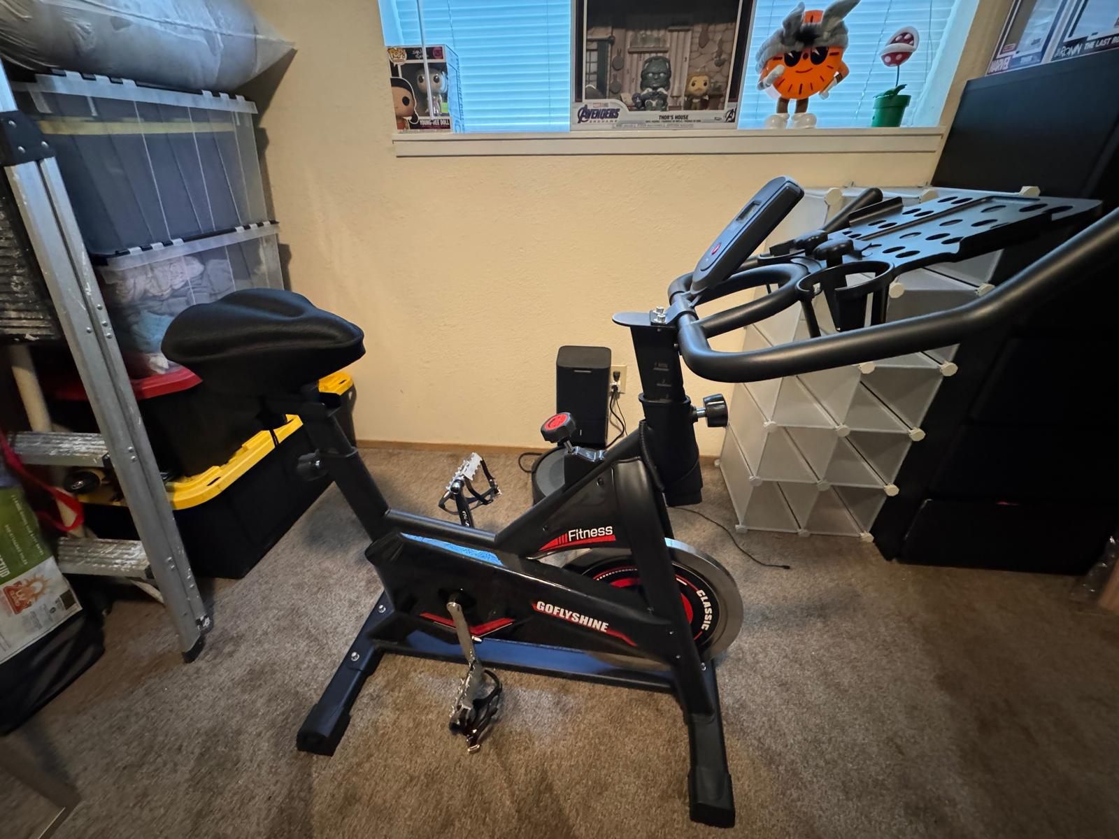 GOFLYSHINE Stationary Bike