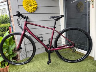 Liv Alight 2 Disc  Frame (M)