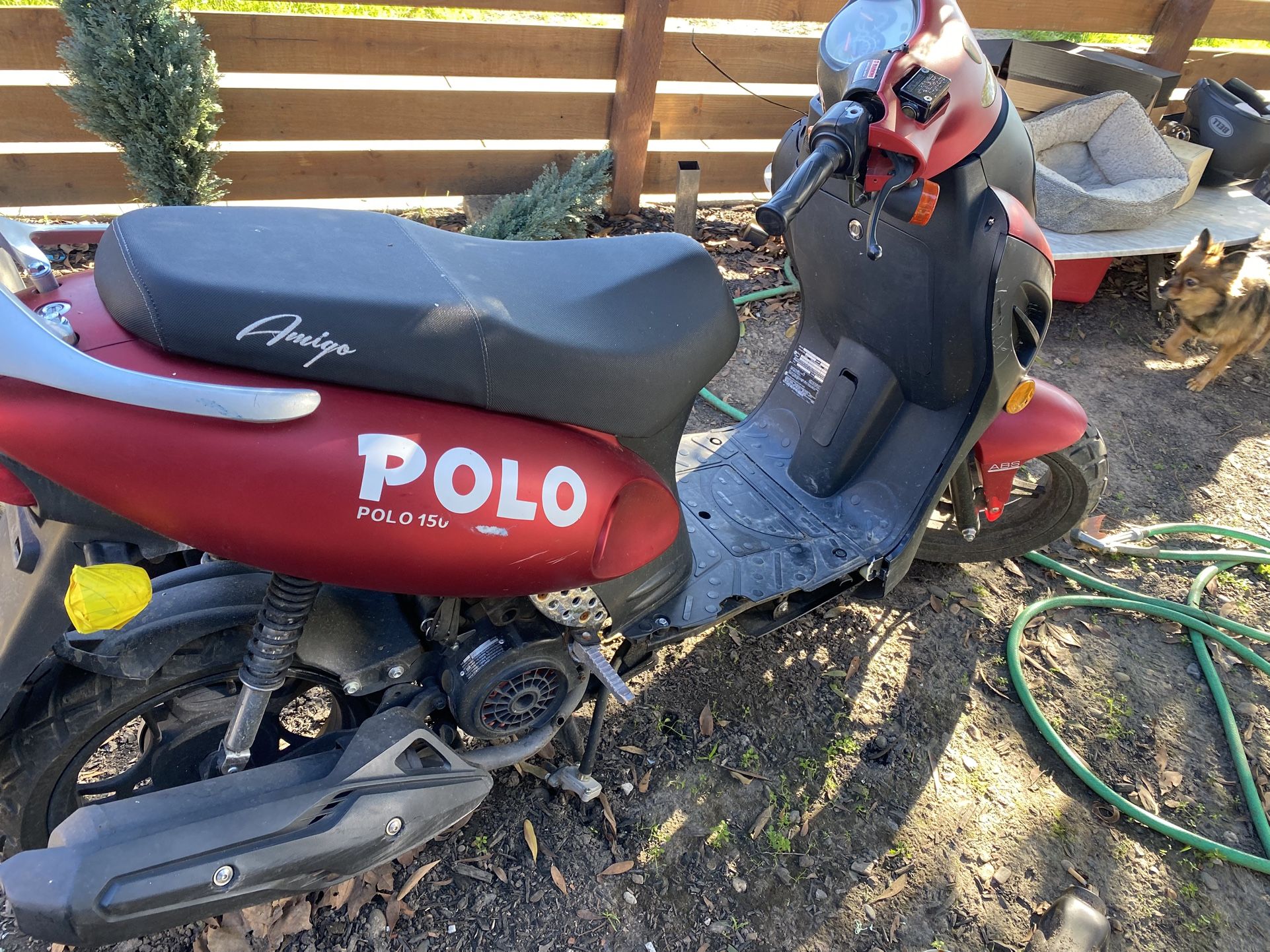 Polo Moped