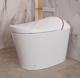 DeerValley Smart Toilet with Bidet Built In, Tankless Toilet with Heated Bidet Seat, Auto Flush, Warm Water & Dryer, Deodorization, and Remote Contro