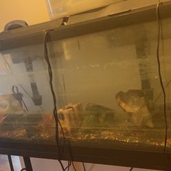 Fish Tank W/Stand And Equipment As Well Decor