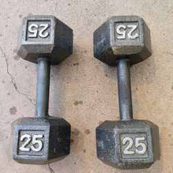Set Of 25 Lbs Dumbbells {FIRM}