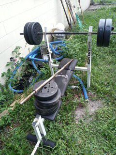 Weights and bench