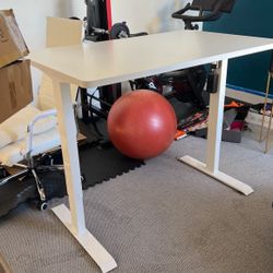 Standing Desk 