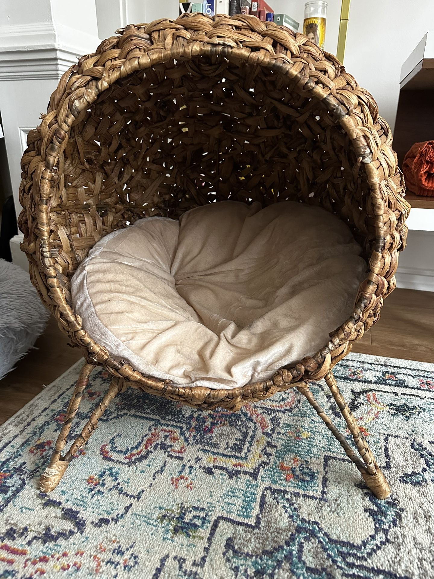 Cat House 