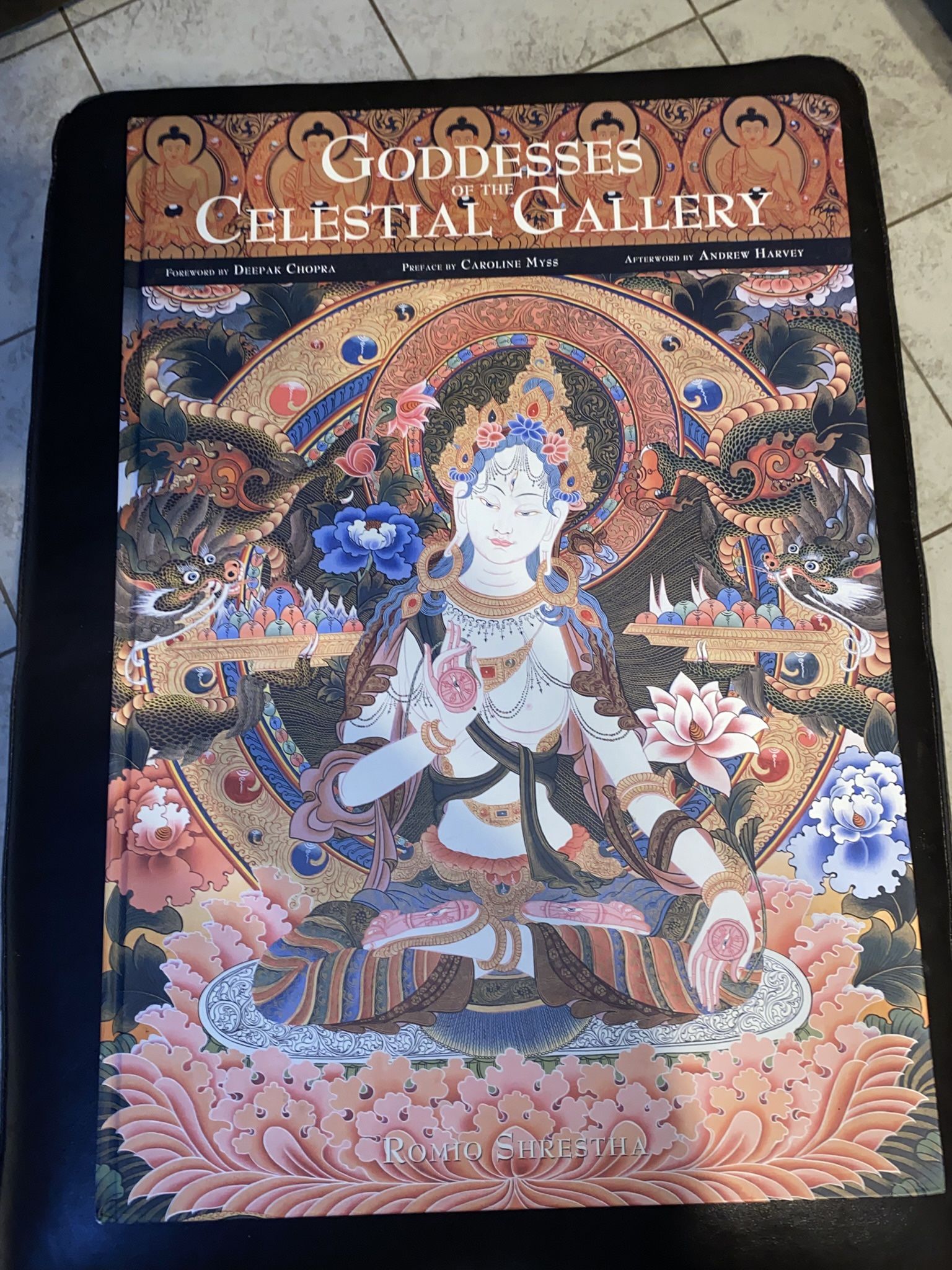 Large Book