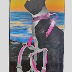 NEW Dog Harness Dog Collar