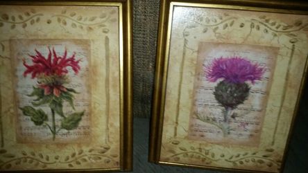 Flower and music pics