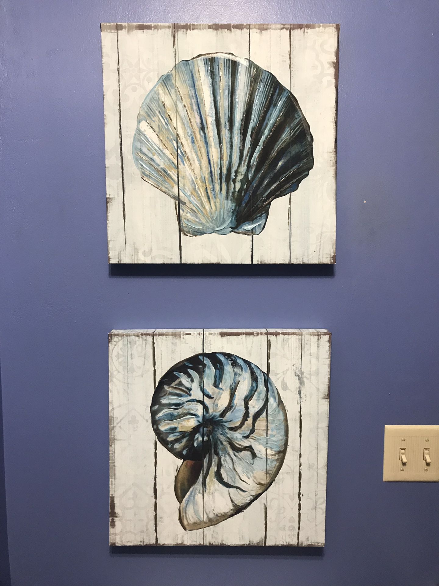 S/2 Seashell Canvas