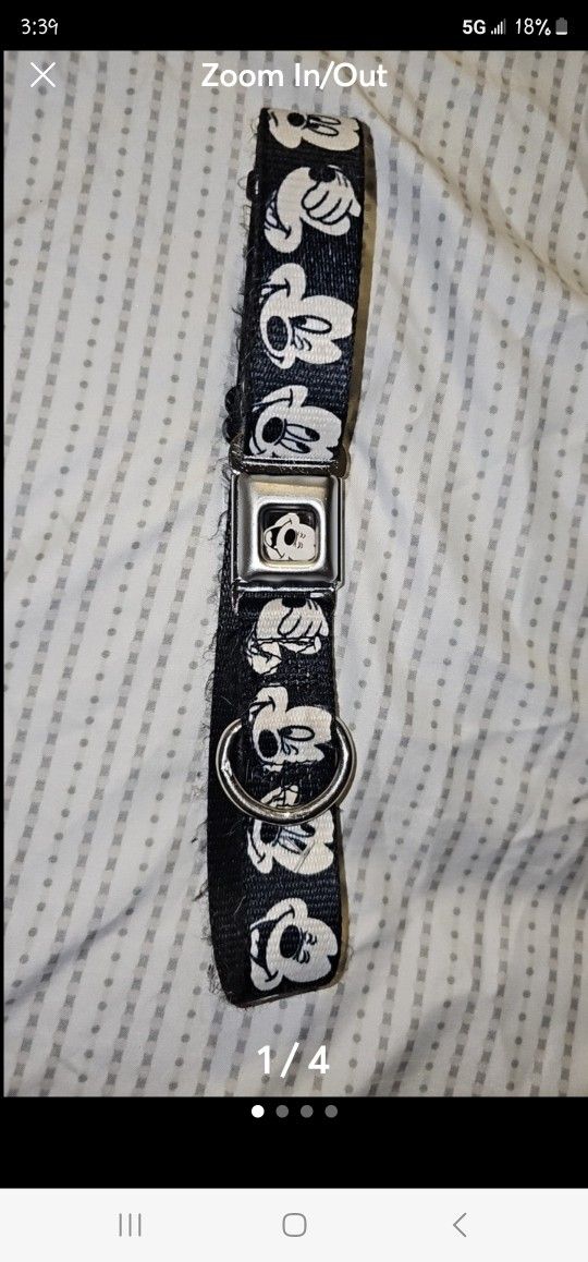 Dog Collar