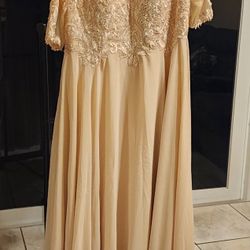 Champaign Color Gown