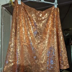 Gold Sequins Skirt
