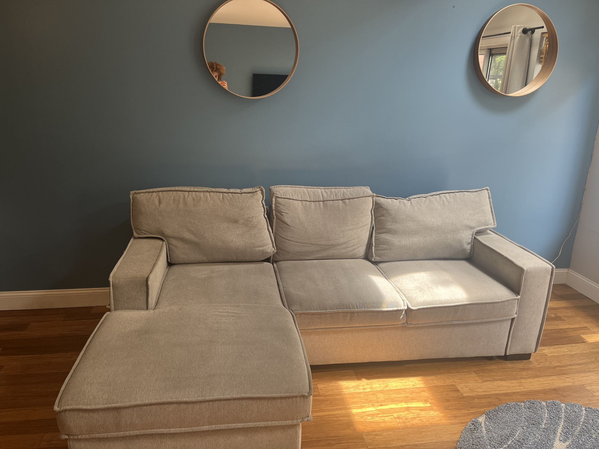 Pull Out Couch 