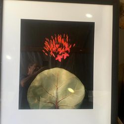 Beautiful  art  with aluminum frame …