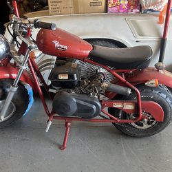 Viper mini bike