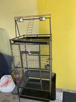 Bird Cage
