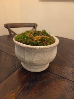 Stone Moss Vase