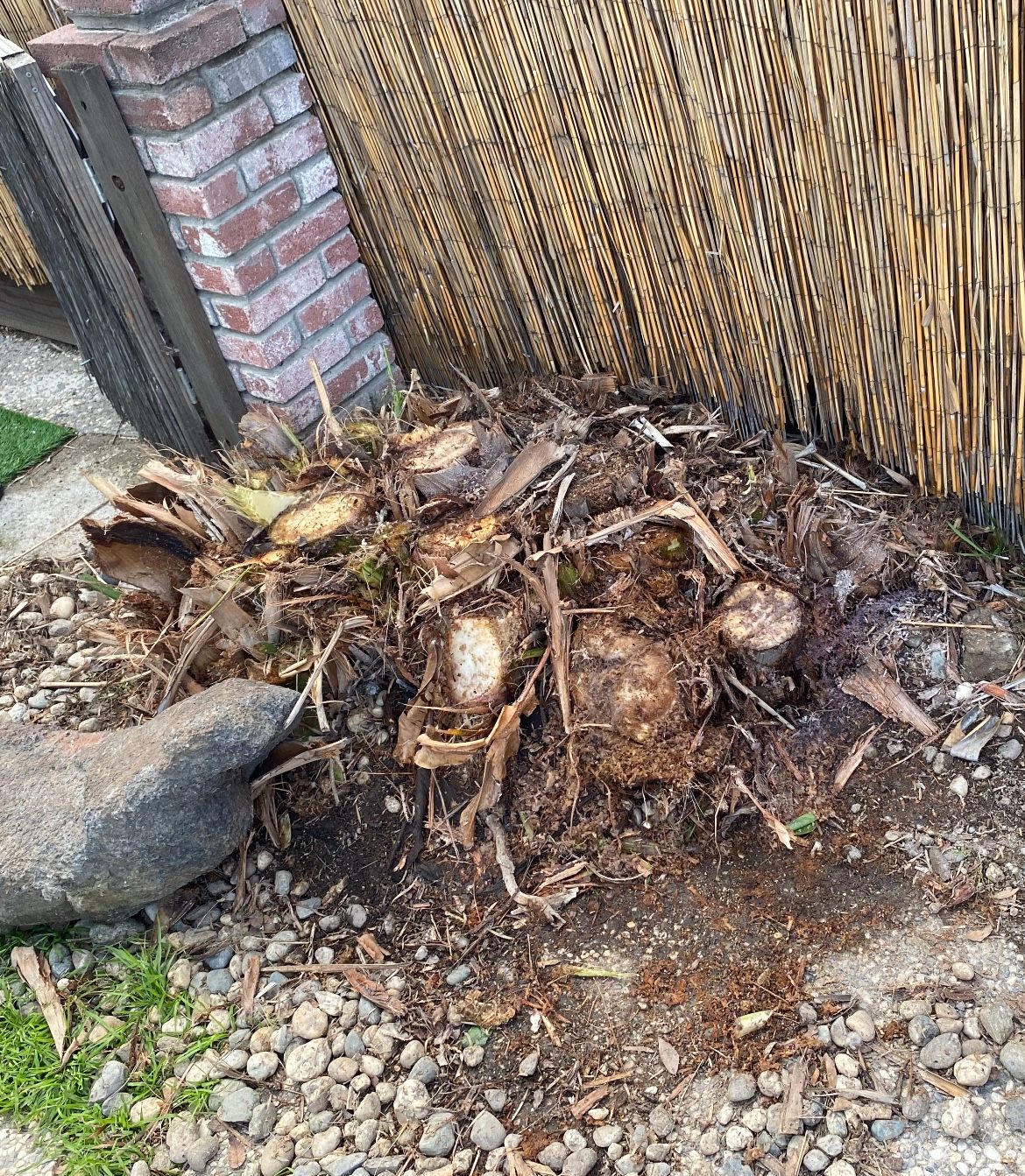 Stump Removal