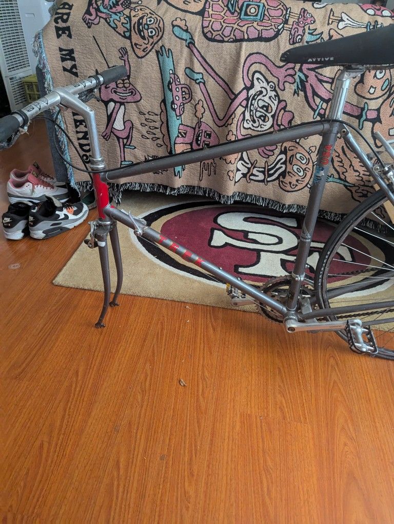 Old Trek Frame
