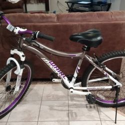 Whirlwind Women's Bike