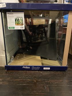 Fish Tank