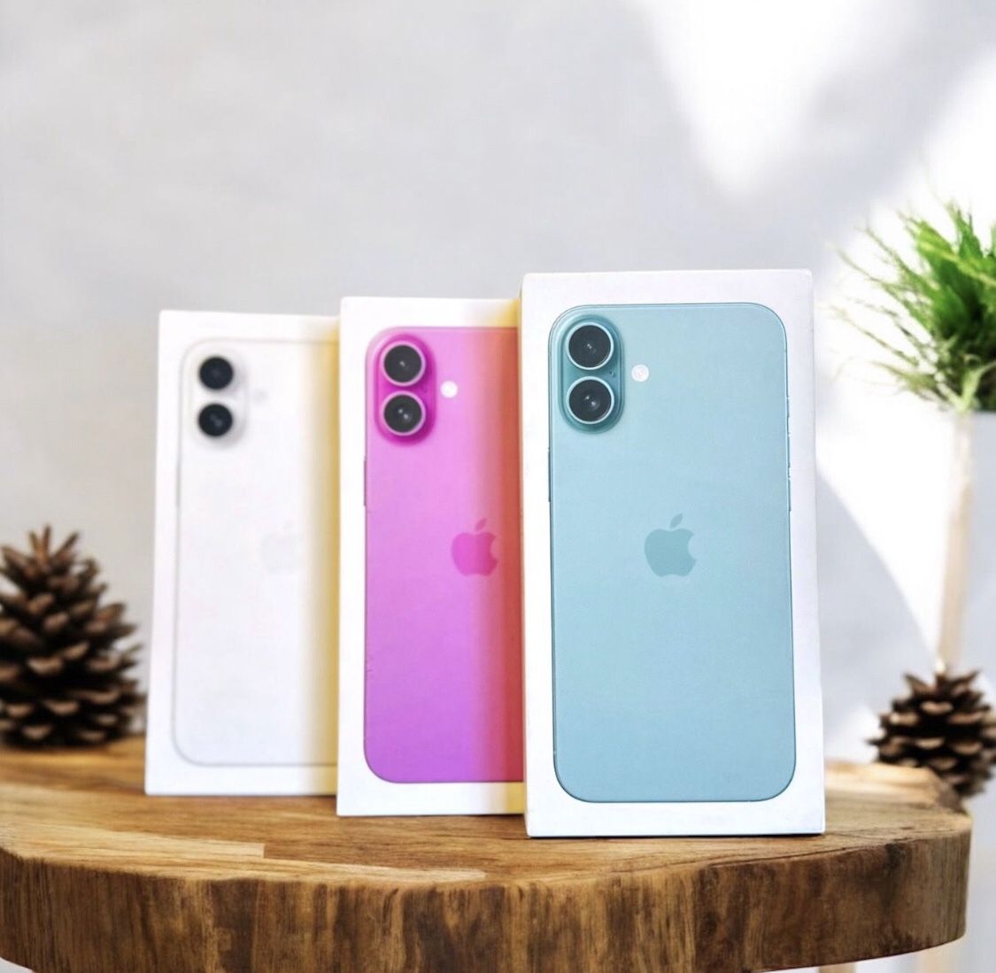 A3083 Plus Apple iPhone 16 Plus 128gb new sealed Unlocked 1yr warranty floor model