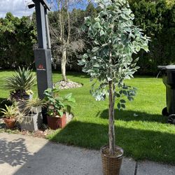 Artificial Plant