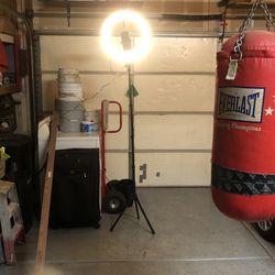 Viviparous Selfie Light Stand