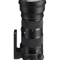 Sigma 150-600mm 5-6.3 DG HSM - Nikon F mount