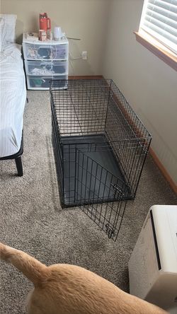Large dog kennel