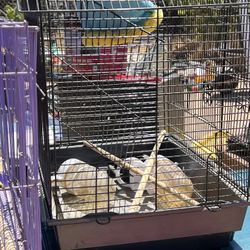 Bird Cages For Sale $10 Each Or Best Offer. 