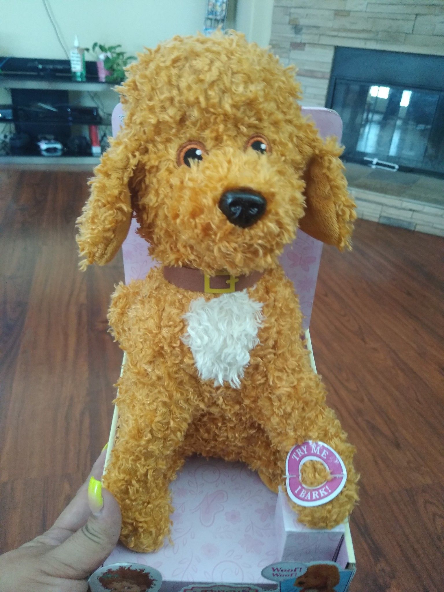 Puppy