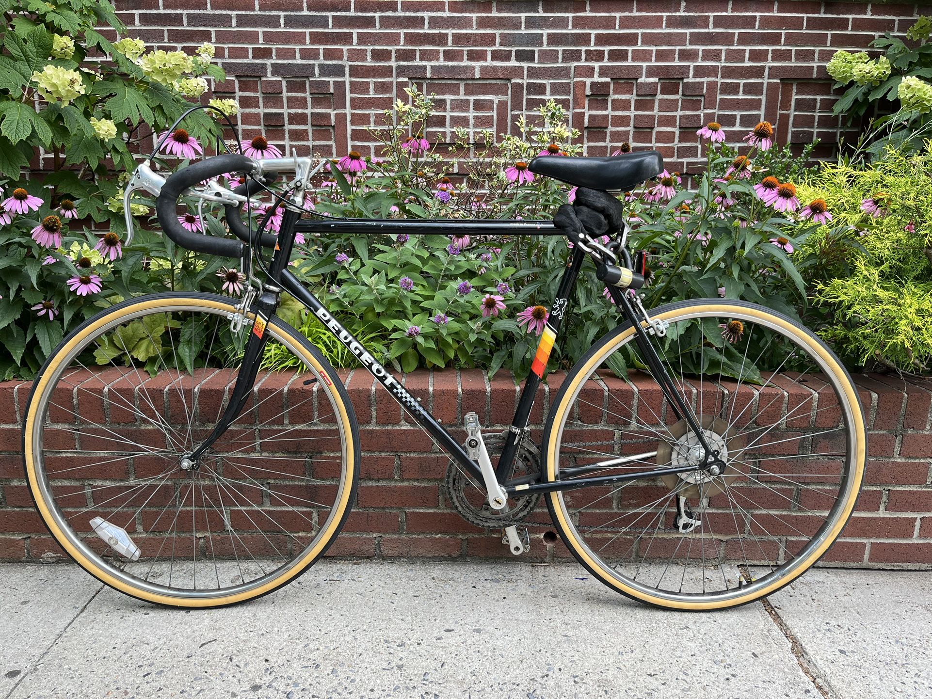 10-speed Peugeot road bike 