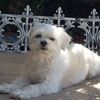 Zilly