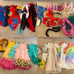 Kids Dress Up Clothes & Accessory LOT