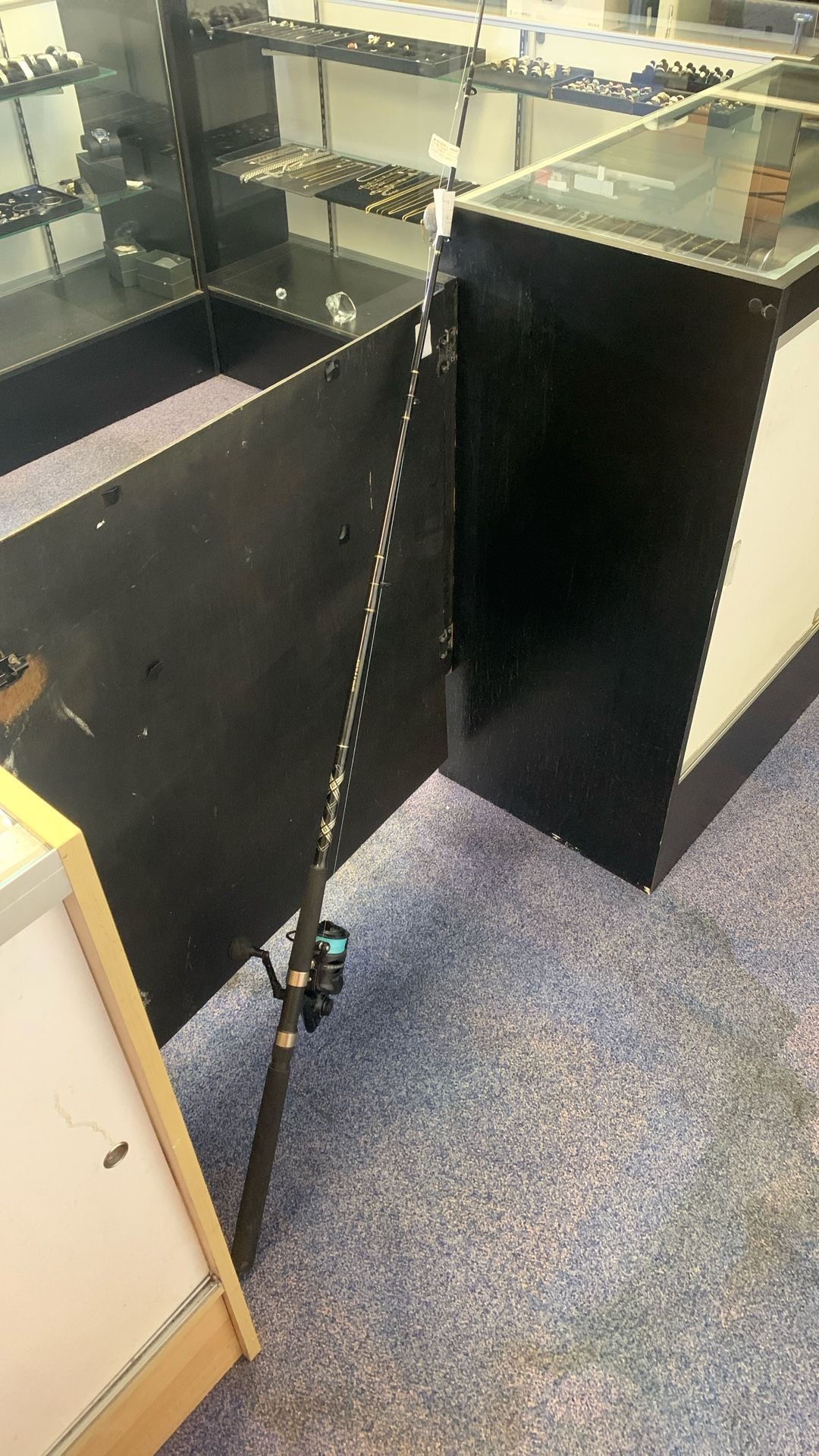 Penn Fishing Rod And Reel