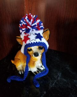 Dog beanie