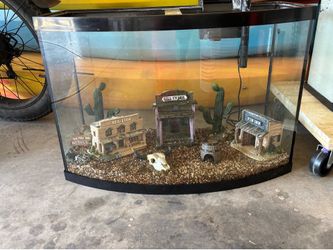 36 gallon bowfront aquarium tank