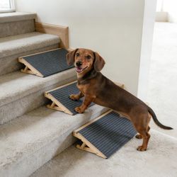 Kisimuy Adjustable Dog Ramp for Stairs