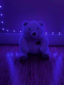 Weighted white bear