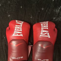 Everlast Boxing gloves 