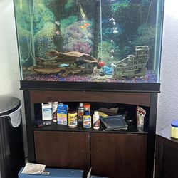 Fish Tank Plus Supplies For Sale