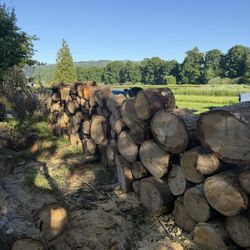 Firewood 