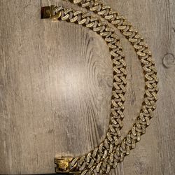 Dog Gold Cuban Link Chain 