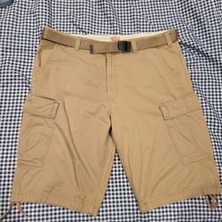 Levis Cargo Shorts- Chino