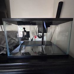 Fish Tank