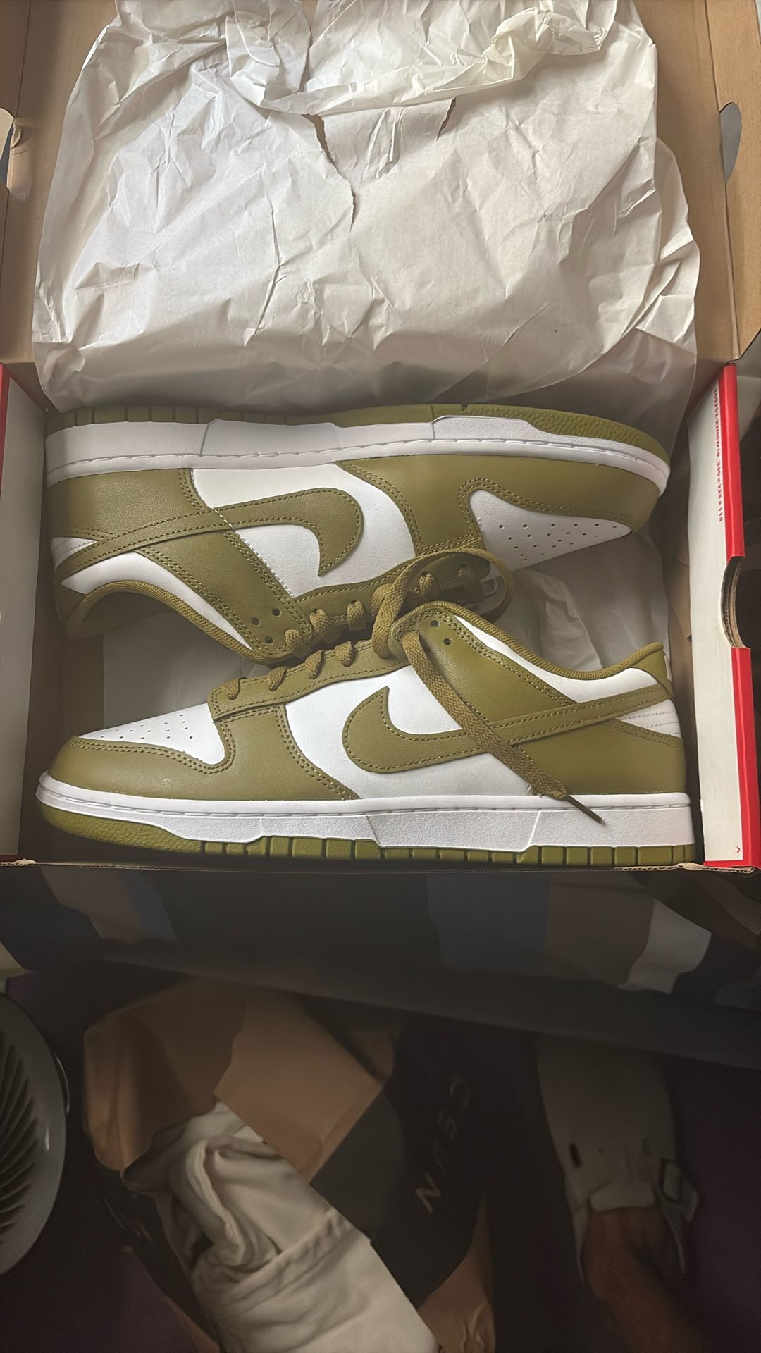 Brand New Nike Dunks Size 12
