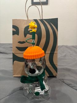 2026 fall Starbucks Snoopy glass mug