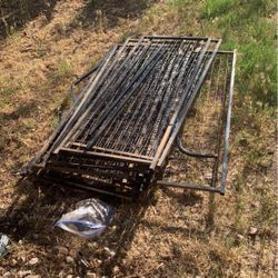 Dog Cage 