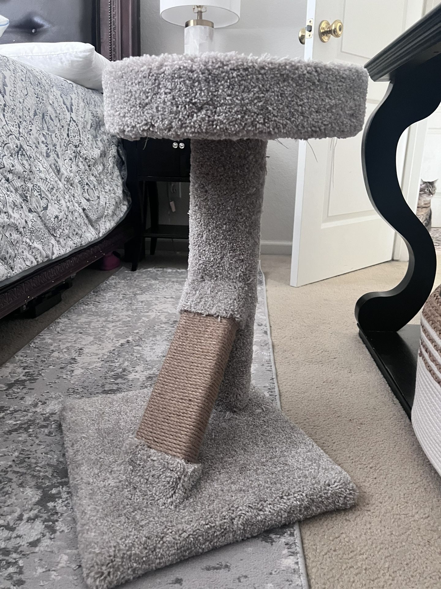 Cat Scratching Post